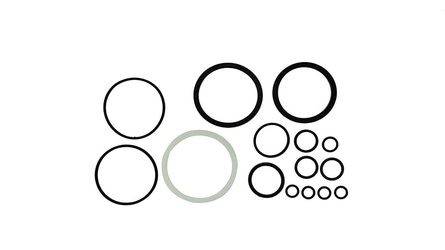 Amazon.com: 3803478 | N14 Fuel Pump Overhaul Seal and Gasket